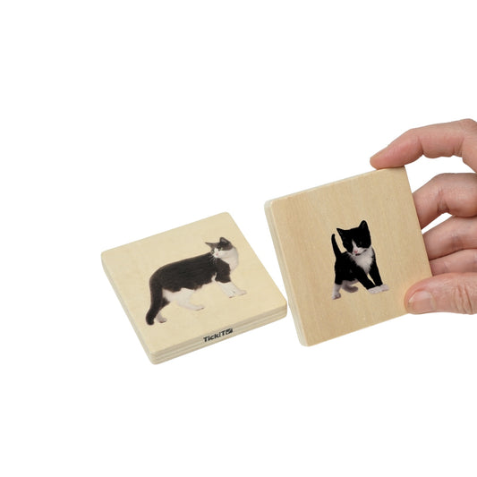 Holz-Memo - Welche Tiere gehören zusammen?