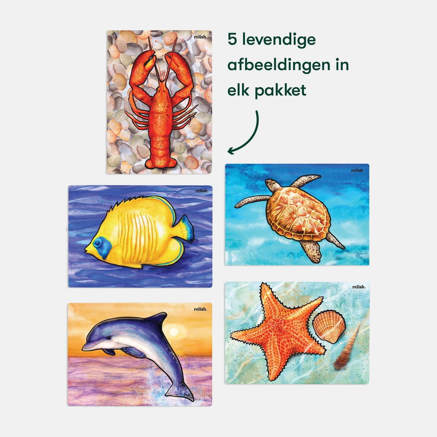 Peinture à l'eau - Vie océanique (Aquapaint pour les personnes atteintes de démence)