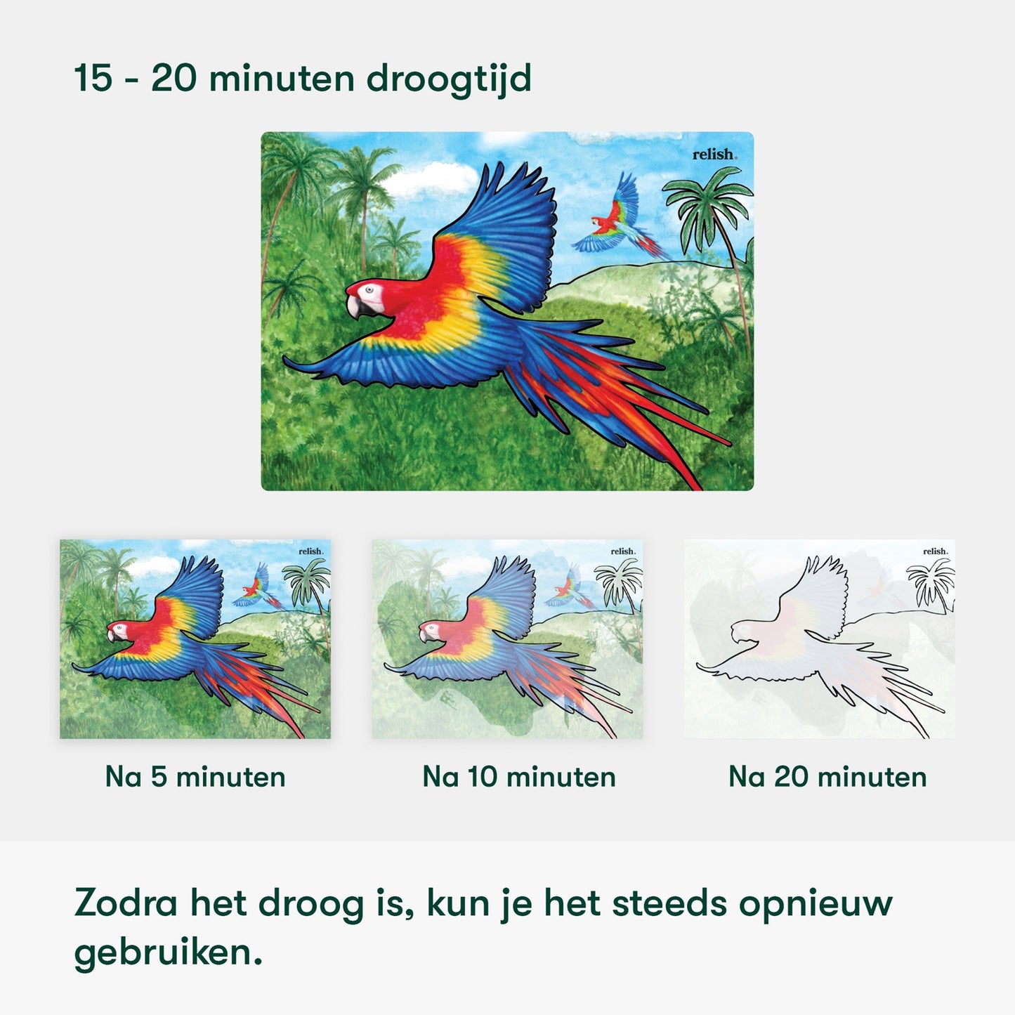 Peinture à l'eau - Beaux oiseaux (Aquapaint pour les personnes atteintes de démence)