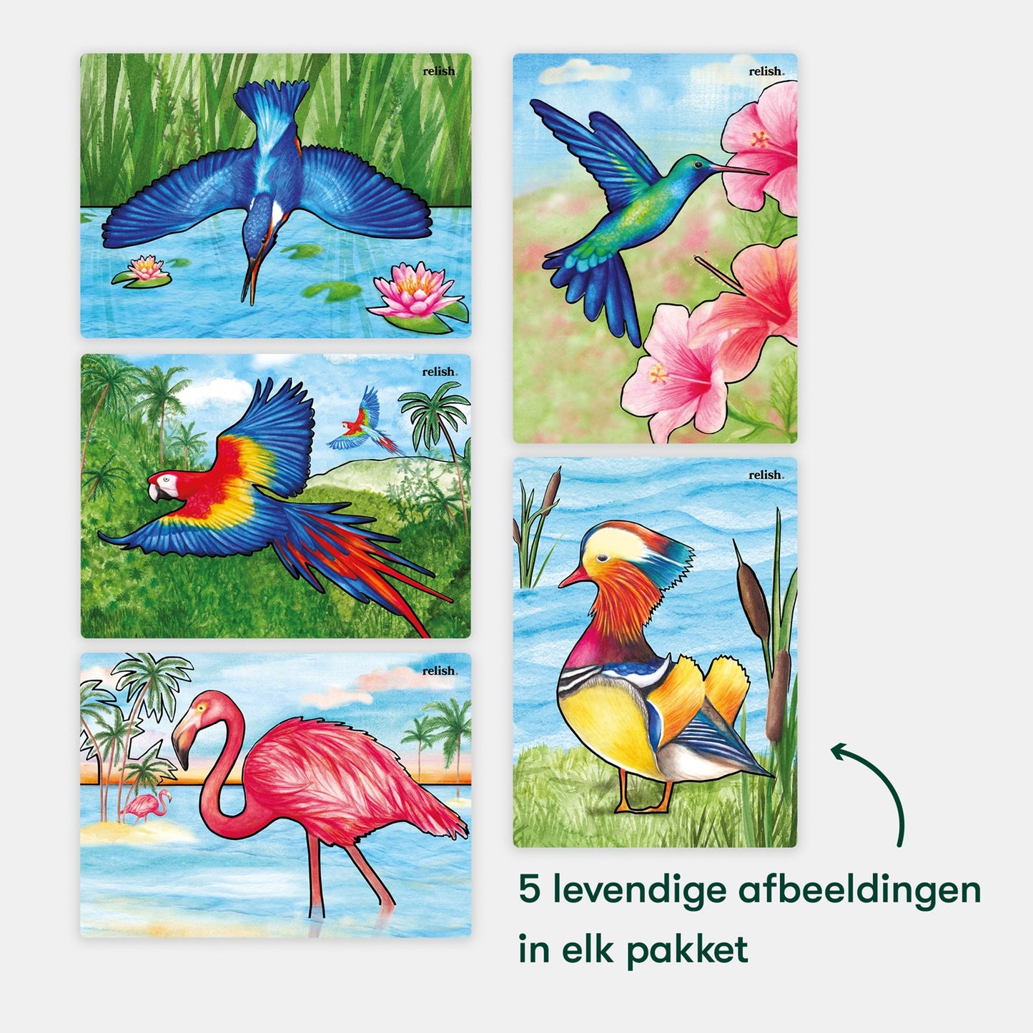 Peinture à l'eau - Beaux oiseaux (Aquapaint pour les personnes atteintes de démence)
