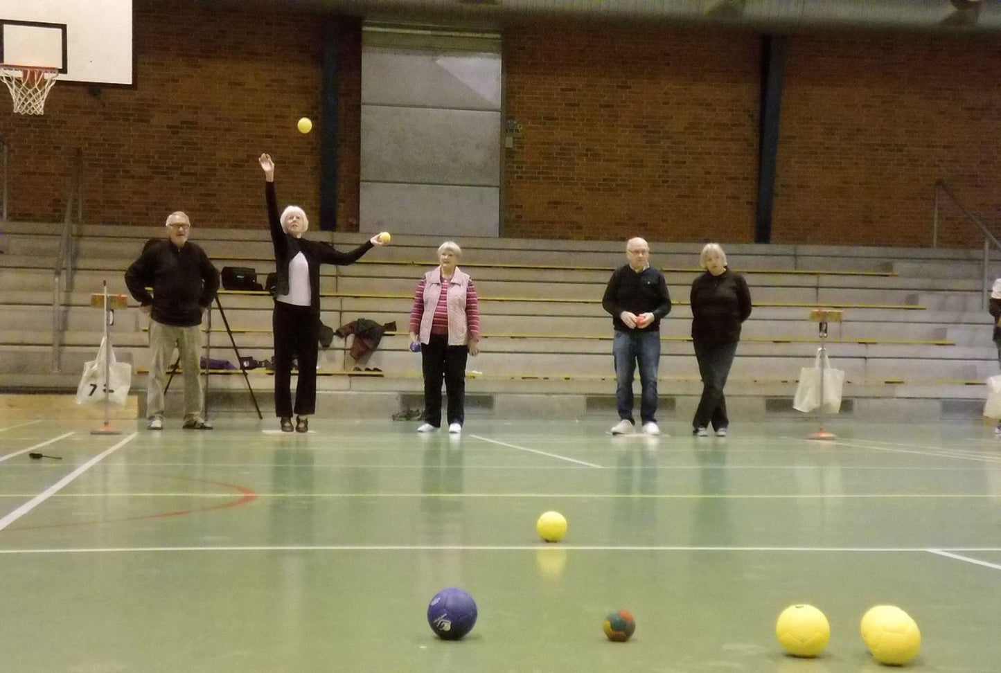Petanque Extra lichte ballen – Indoor set van 12 ballen, ideaal voor senioren en dementiezorg.