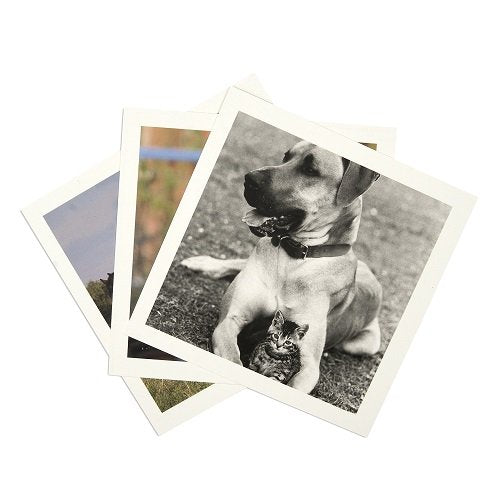 foto van kaarten met foto's die gebruikt worden bij reminiscentie bij demente bejaarden om ze te helpen fijne herinneringen terug te vinden