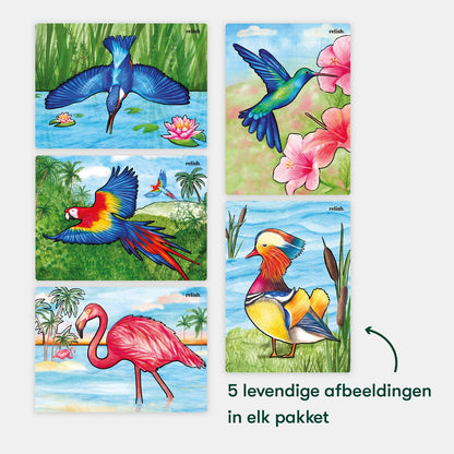 Peinture à l'eau - Beaux oiseaux (Aquapaint pour les personnes atteintes de démence)