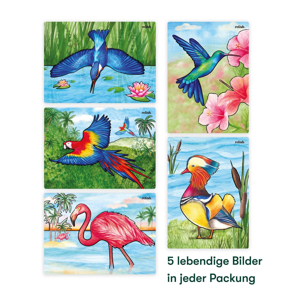 Schilderen met water - Prachtige vogels (Aquapaint voor mensen met dementie)