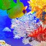 Aquari-round